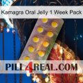 Kamagra Oral Jelly 1 Week Pack new11